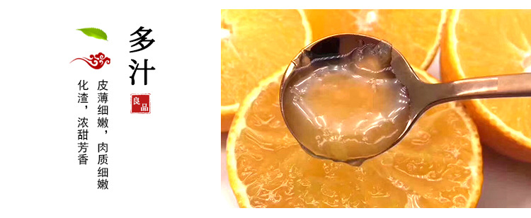 四川特产甜橙现摘新鲜橙子 新鲜水果手剥橙子 10斤装新鲜橙子现货示例图6