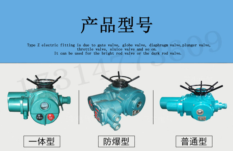 上海厂家直销 DZW多回转电动执行器 户外型/整体型 Z型 电动阀示例图2