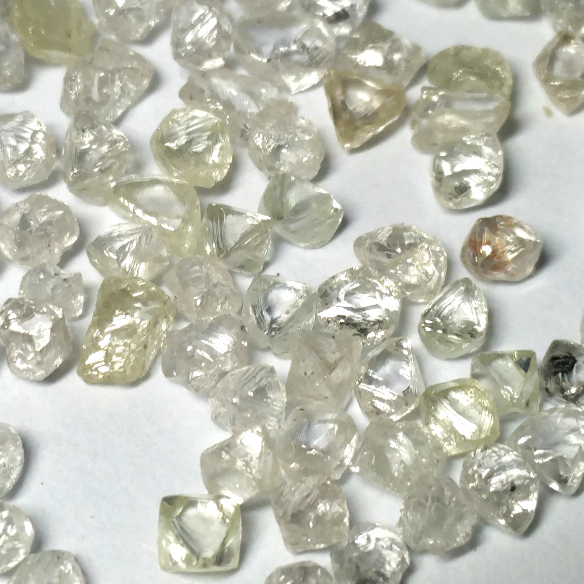 天然白色钻石原石金刚石颗粒5到70分净度颜色高钻石珠宝打磨示例图2