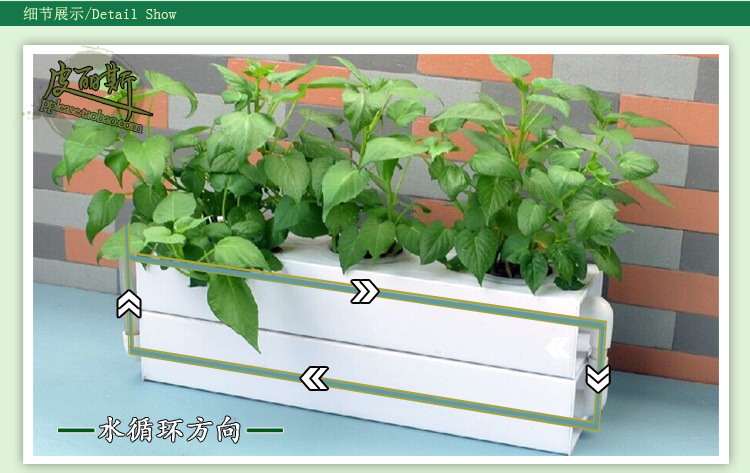 阳台植物瓜果水耕水培设备 办公室植物自动浇水 方管无土栽培花架示例图7