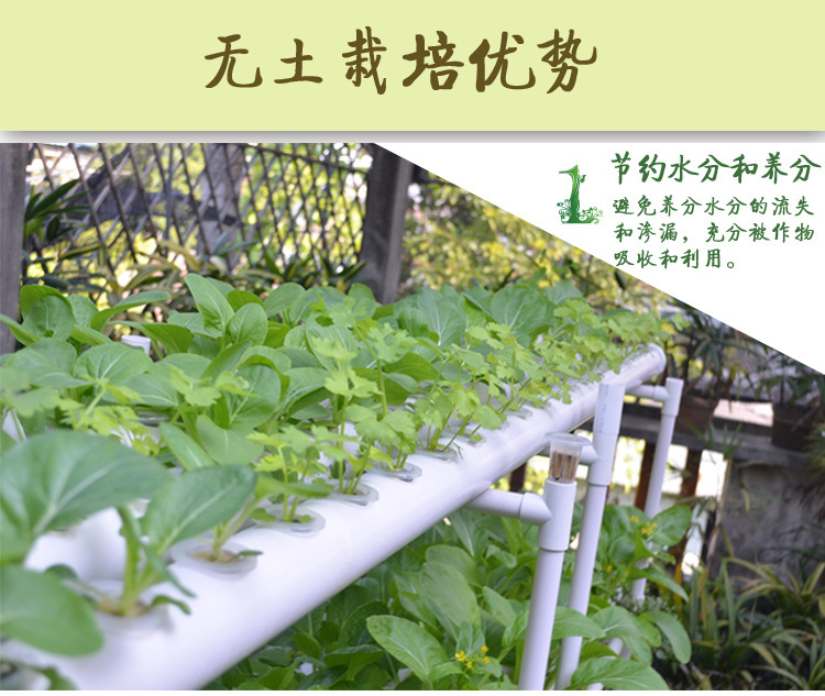 阳台植物瓜果水耕水培设备 办公室植物自动浇水 方管无土栽培花架示例图1