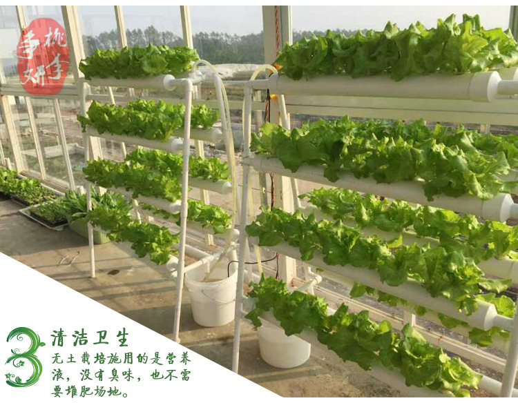 无公害蔬菜种菜 阳台种植 蔬菜花架 横排八管圆管自动水培设备示例图3