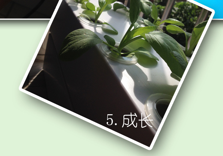 阳台植物瓜果水耕水培设备 办公室植物自动浇水 方管无土栽培花架示例图16
