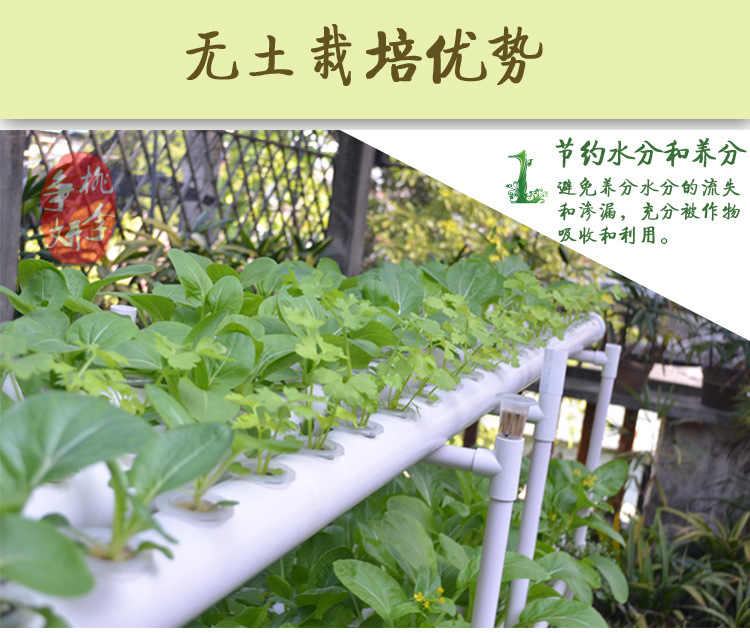 无公害蔬菜种菜 阳台种植 蔬菜花架 横排八管圆管自动水培设备示例图1