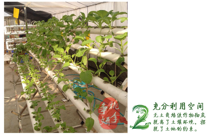 无公害蔬菜种菜 阳台种植 蔬菜花架 横排八管圆管自动水培设备示例图2