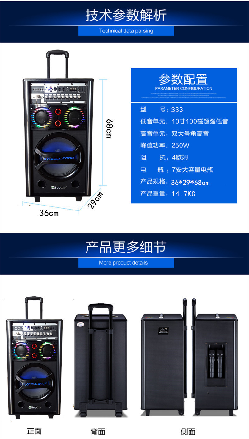 索琴10“插卡电瓶音响吉它音箱式户外USB促销卖唱广场舞拉秆音箱示例图10