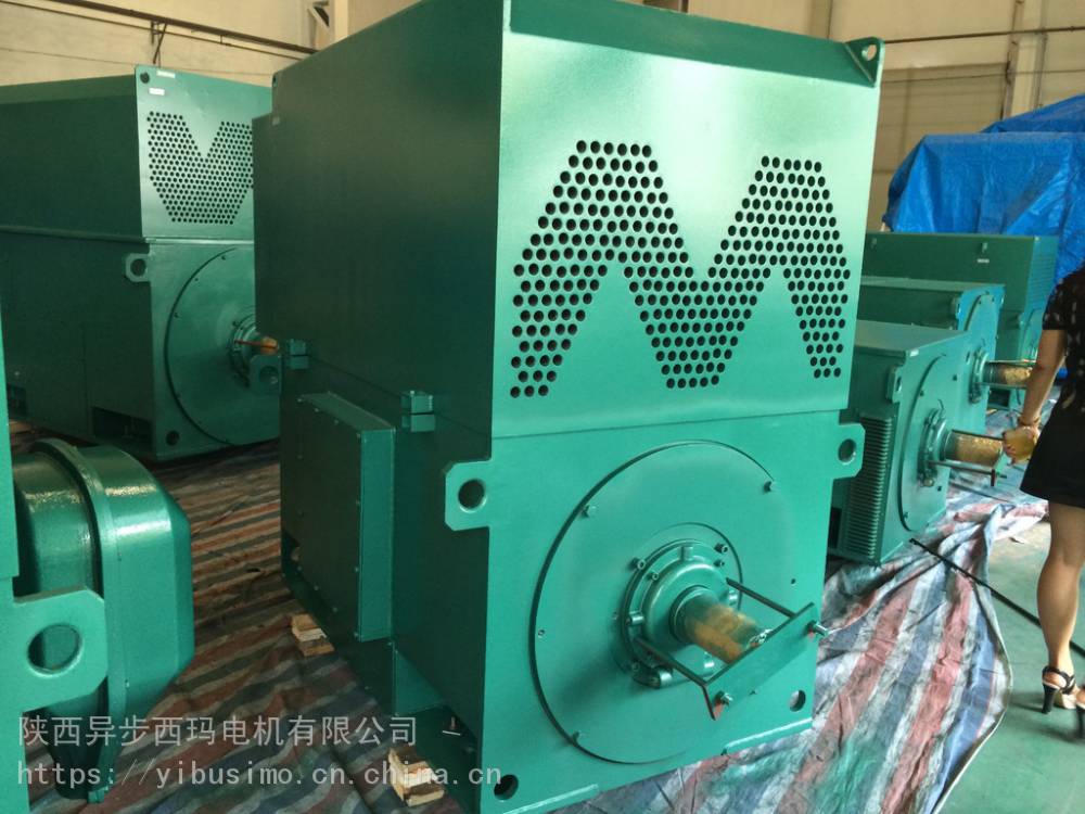 西安泰富西玛电机Y4501-2/355KW/10KV高压电机的启动质量三包