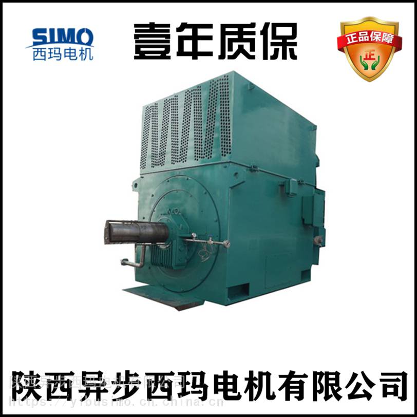 陕西西玛电机Y4001-6/220KW/10KV高压永磁电机（品牌电机）