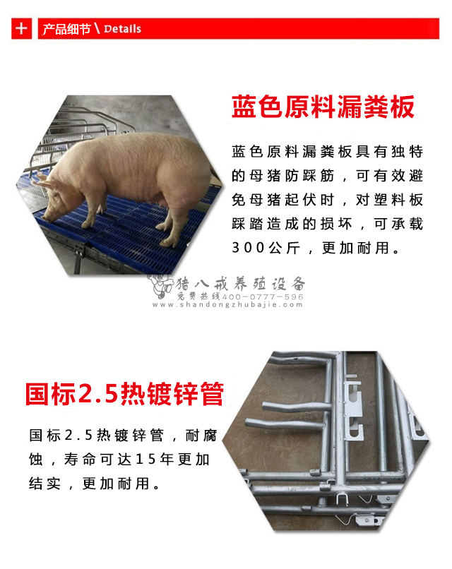 母猪产床,母猪产床图片,山东猪八戒养殖设备