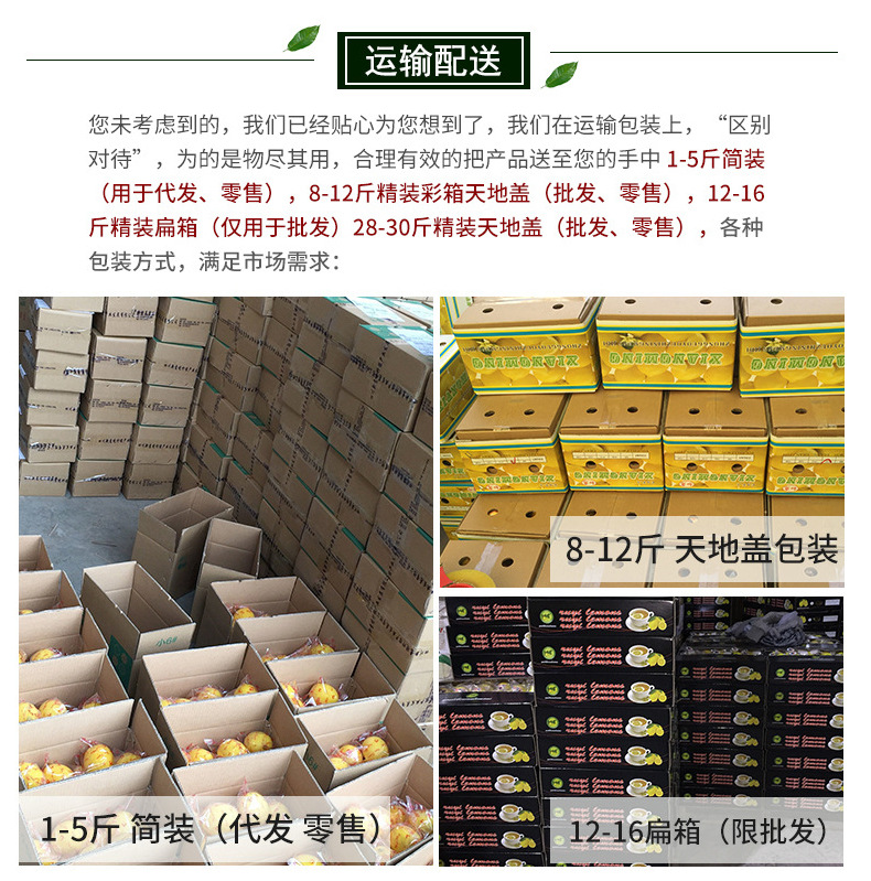 柠檬来自四川安岳柠檬新鲜尤利克小黄柠檬批发6-7个/斤5斤包邮示例图12