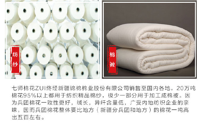 6斤180*220新疆兵团纯棉花被子棉被芯被褥双人盖被芯定制包邮示例图12