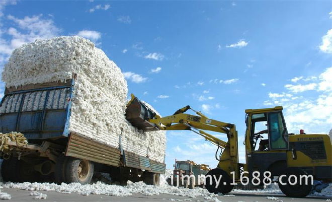 9斤220*240新疆2017新棉纯棉花被子加大双人盖被芯厚棉胎定制包邮示例图6