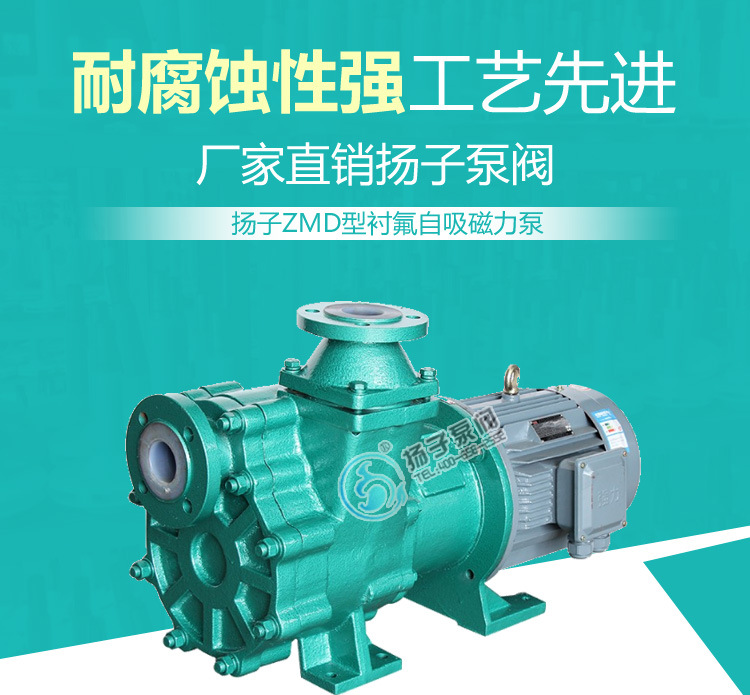 40ZMD-32F衬氟防爆自吸泵 卧式耐腐蚀化工自吸式磁力泵 低液位示例图1