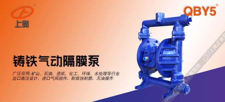 上海QBY5-32Z型铸铁隔膜泵压滤机专用泵船用隔膜泵无油气动隔膜泵示例图1