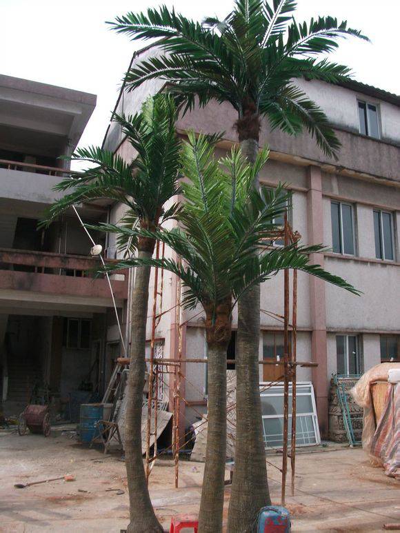 广东仿真树厂家室内仿真椰子树价格假棕榈树仿真椰树价格