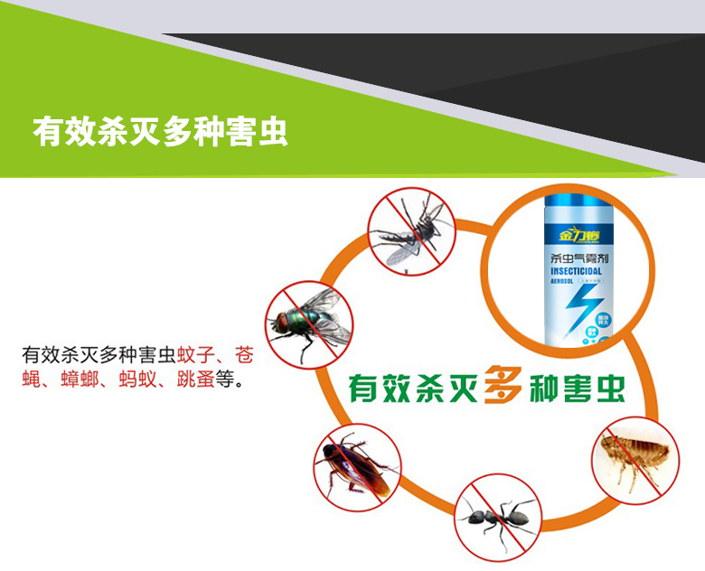 杀虫剂厂家 批发家居杀虫水  卫生灭蚊蝇喷雾剂  无味杀虫气雾剂示例图7