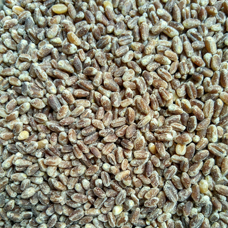 散装1件=1斤 欣绿得黑小麦麦仁 自产黑小麦麦仁 产量高 品质好示例图1
