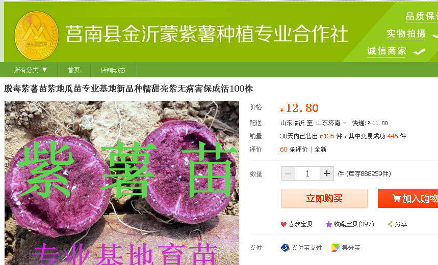 2014紫薯苗销量