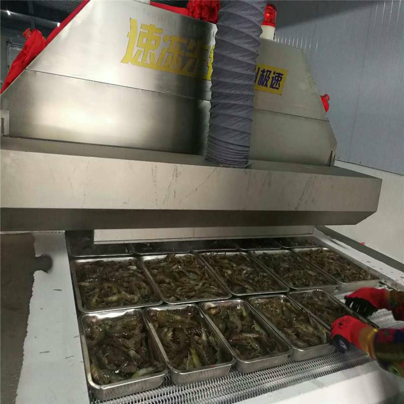 常州食品速冻机服务 海鲈鱼液氮速冻机