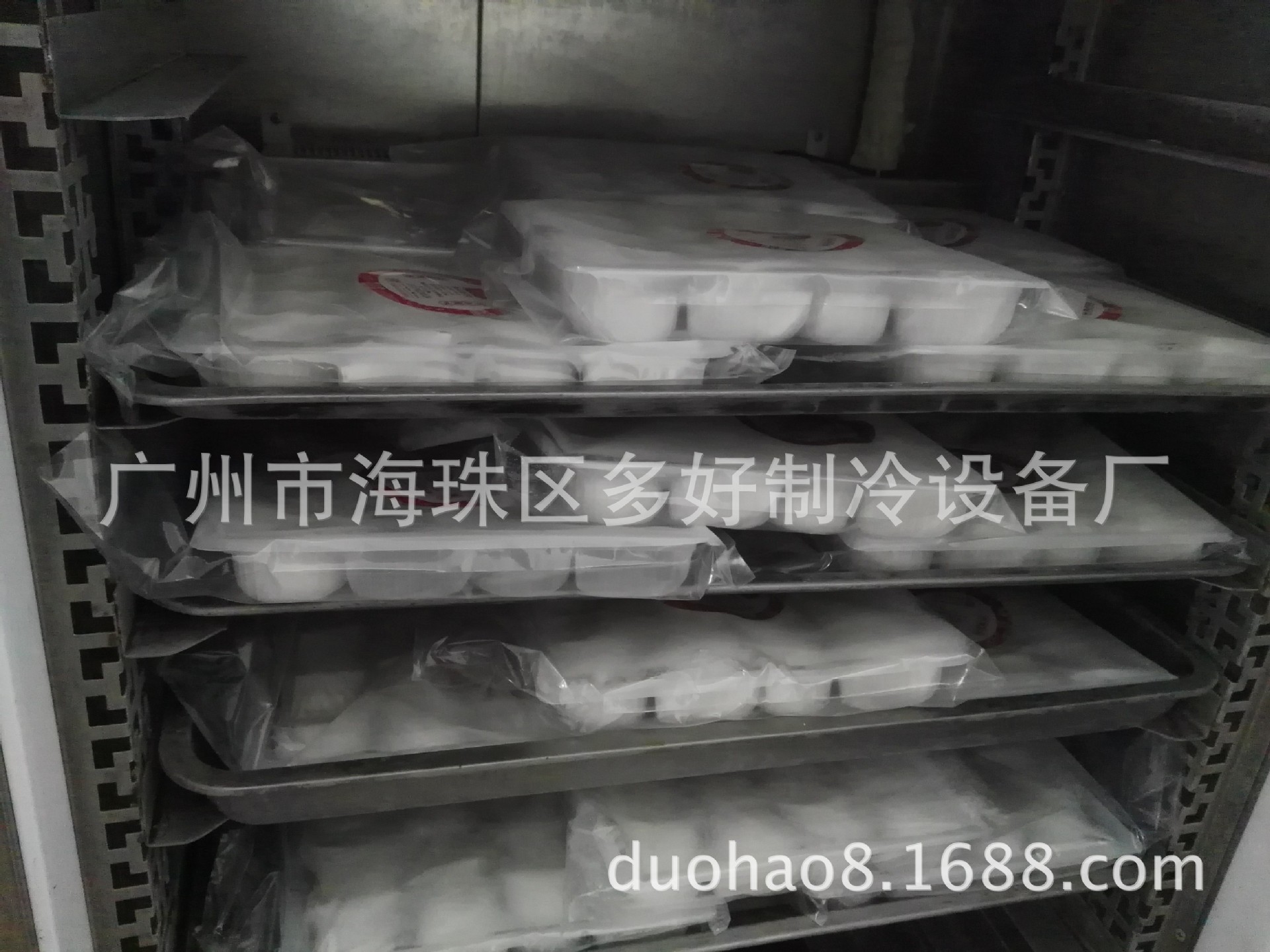 5盘饺子速冻机 包子速冻柜 虾海参急冻柜 零下45度示例图15