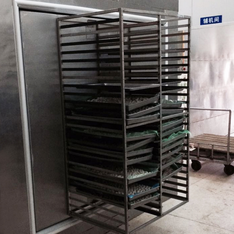 生产批发100kg超低温果蔬肉制品保鲜高品质大型转门速冻机速冻柜示例图6