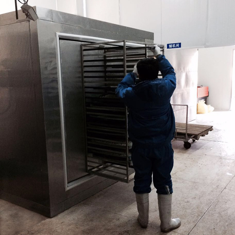 生产批发100kg超低温果蔬肉制品保鲜高品质大型转门速冻机速冻柜示例图7