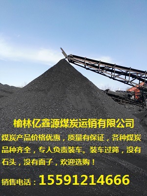 榆林亿鑫源煤炭批发内蒙古煤炭52气化80块煤25籽煤示例图3