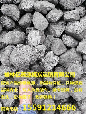 榆林亿鑫源煤炭批发内蒙古煤炭52气化80块煤25籽煤示例图2