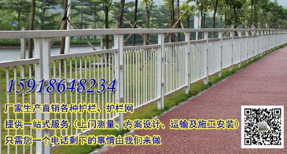 专业海南护栏生产厂家 儋州市政道路隔离栏 车量分流中央防护栏示例图1