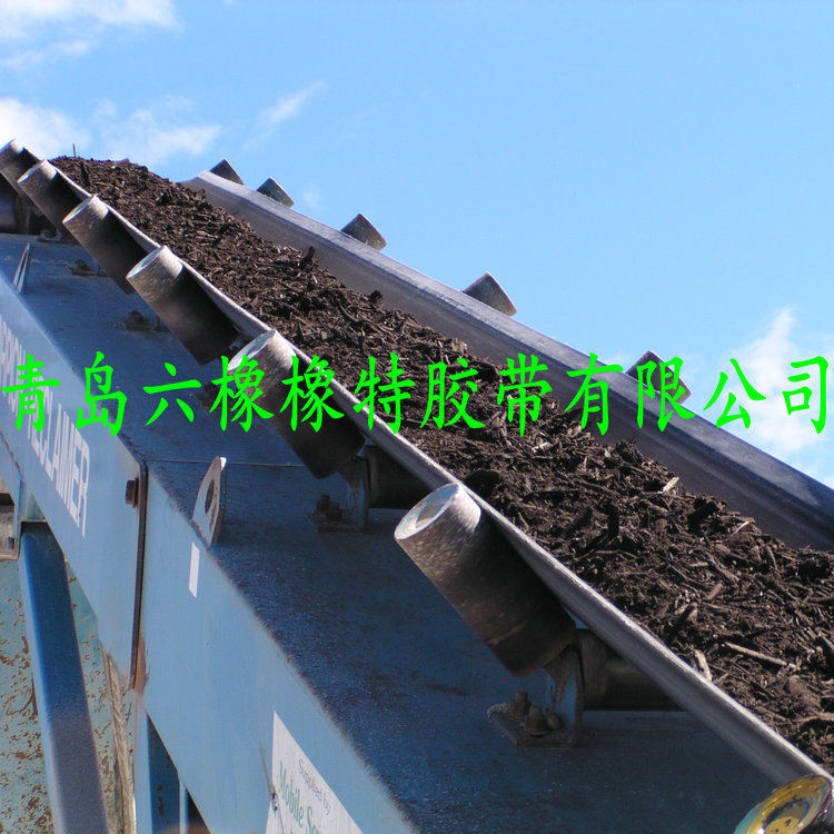 橡膠帶 尼龍橡膠帶 聚酯橡膠帶 帆布輸送帶 輸送帶十強示例圖7