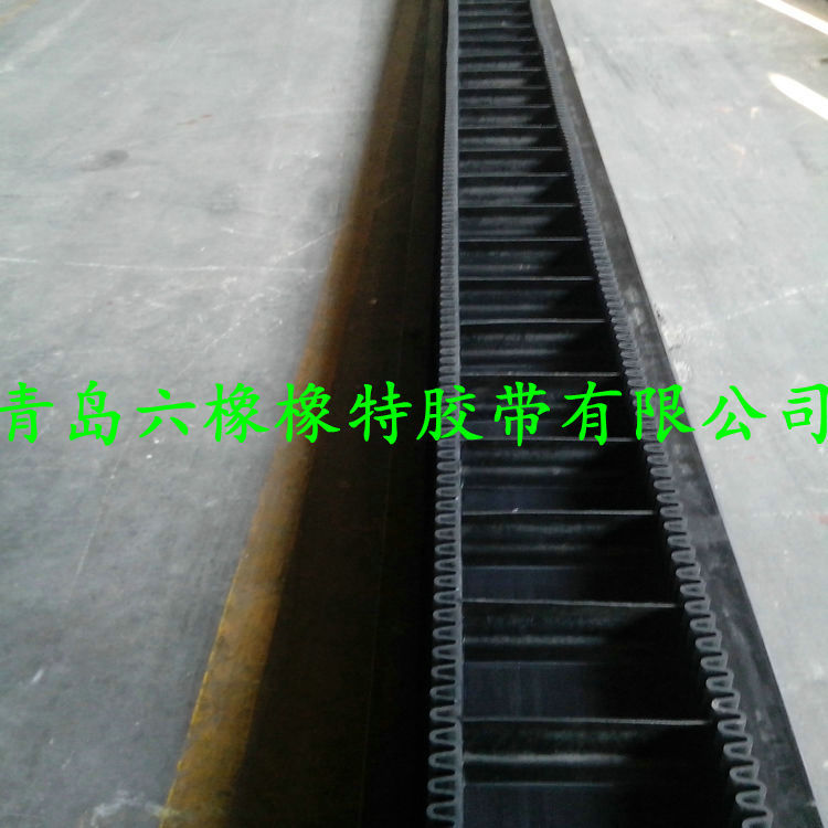 橡膠帶 尼龍橡膠帶 聚酯橡膠帶 帆布輸送帶 輸送帶十強示例圖15