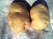 山西土豆晋薯16号个大皮薄芽眼浅淀粉含量高营养丰富示例图1