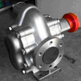 泊头齿轮泵厂销售YCB圆弧泵现货销售圆弧齿轮泵供应圆弧油泵示例图1