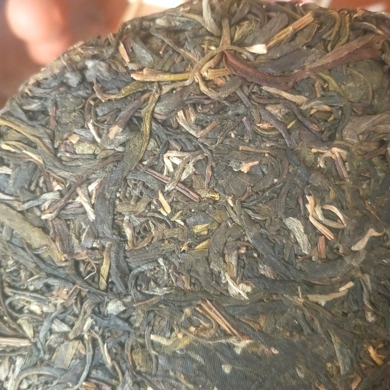 古名匠云南普洱茶原产地茶叶批发勐海布朗山大树茶生茶饼厂家代发示例图6