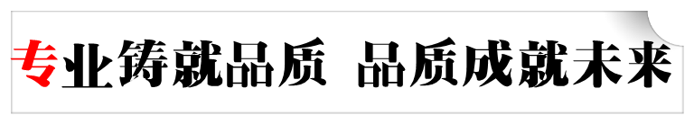 专业生产定制监狱护栏网 广州机场护栏网 刀片刺绳围墙网示例图4