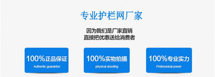专业生产定制监狱护栏网 广州机场护栏网 刀片刺绳围墙网示例图10