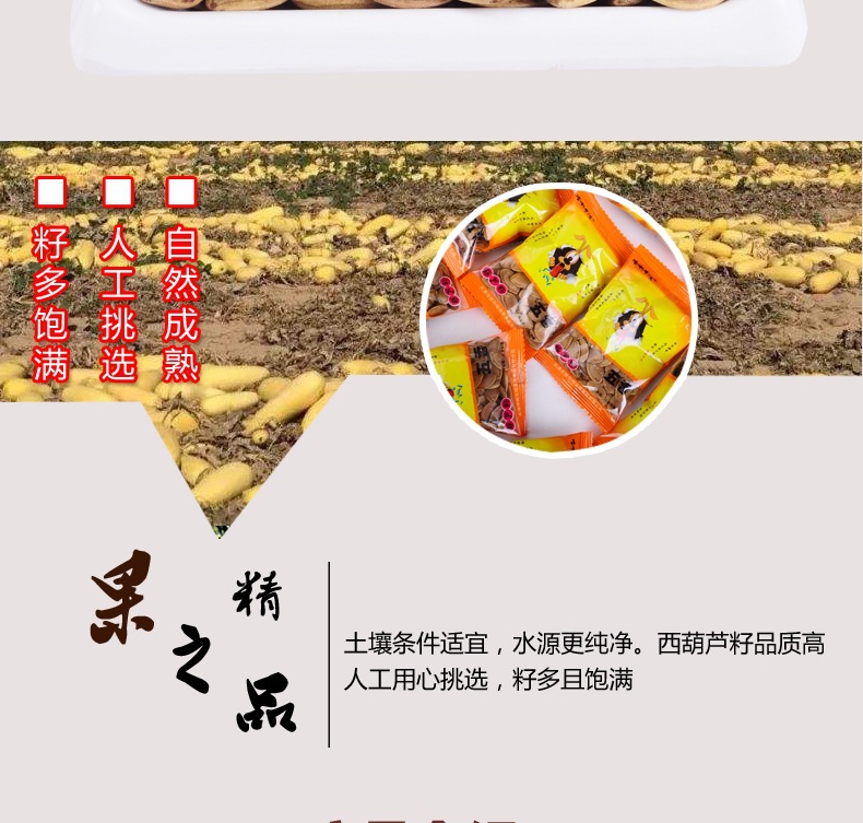 葫芦籽 五香西葫芦籽 小包装葫芦籽 500克起批量大从优一件代发示例图3