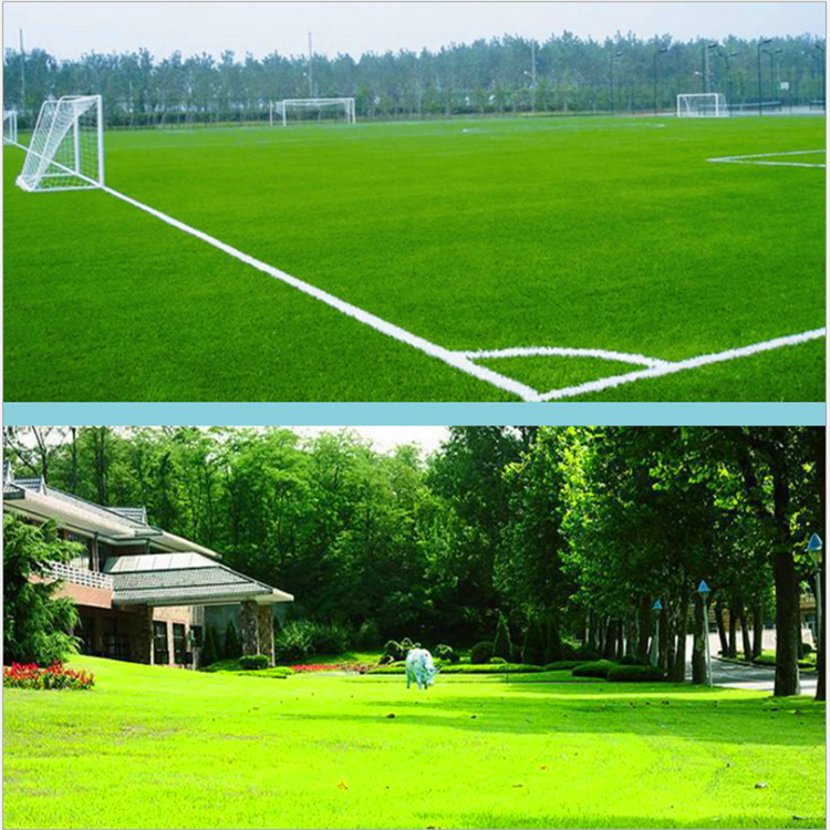 广东单丝人造草坪 室内足球场人造草坪 天然足球场草坪