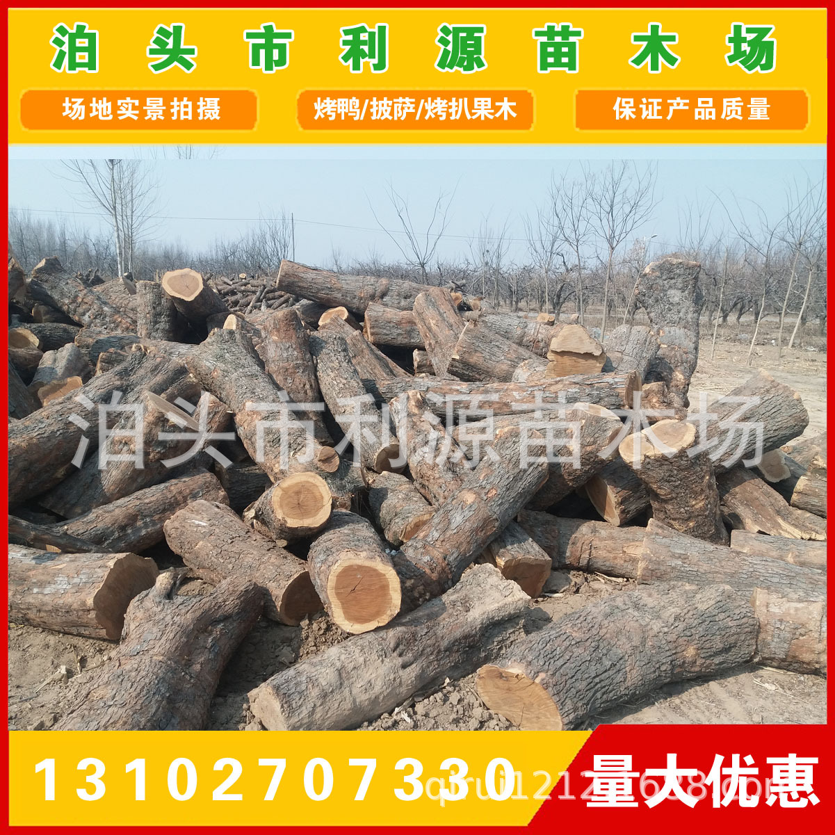 常年大量供应优质枣木原木 出售小头直径25-50公分枣木原木示例图8