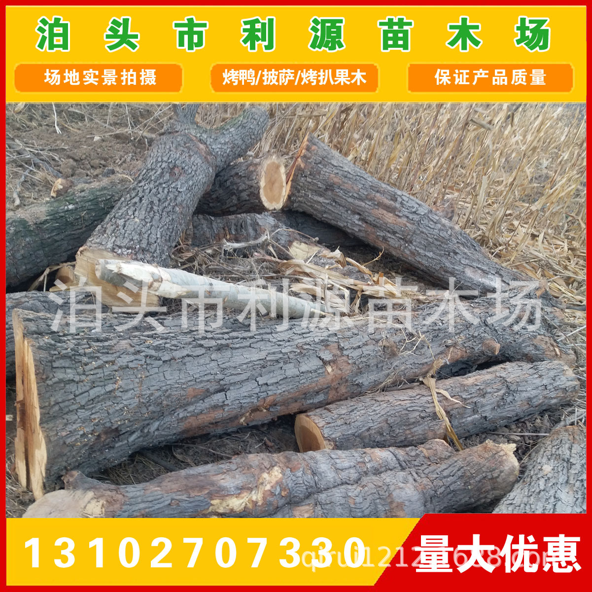 常年大量供应优质枣木原木 出售小头直径25-50公分枣木原木示例图3
