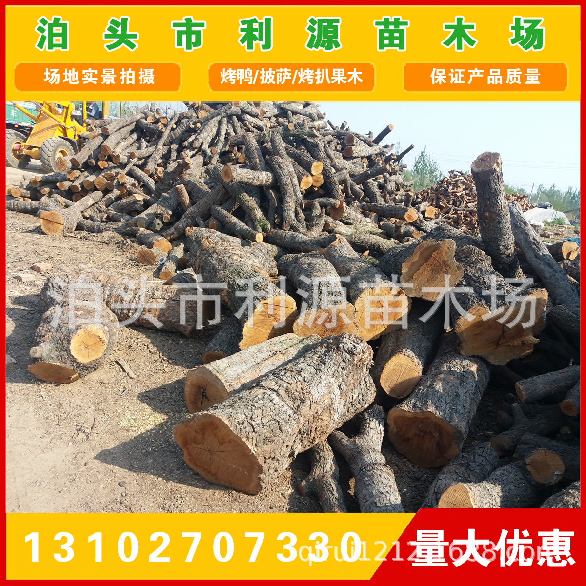 常年大量供应优质枣木原木 出售小头直径25-50公分枣木原木示例图10