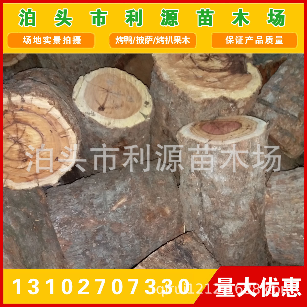 常年大量供应优质枣木原木 出售小头直径25-50公分枣木原木示例图15