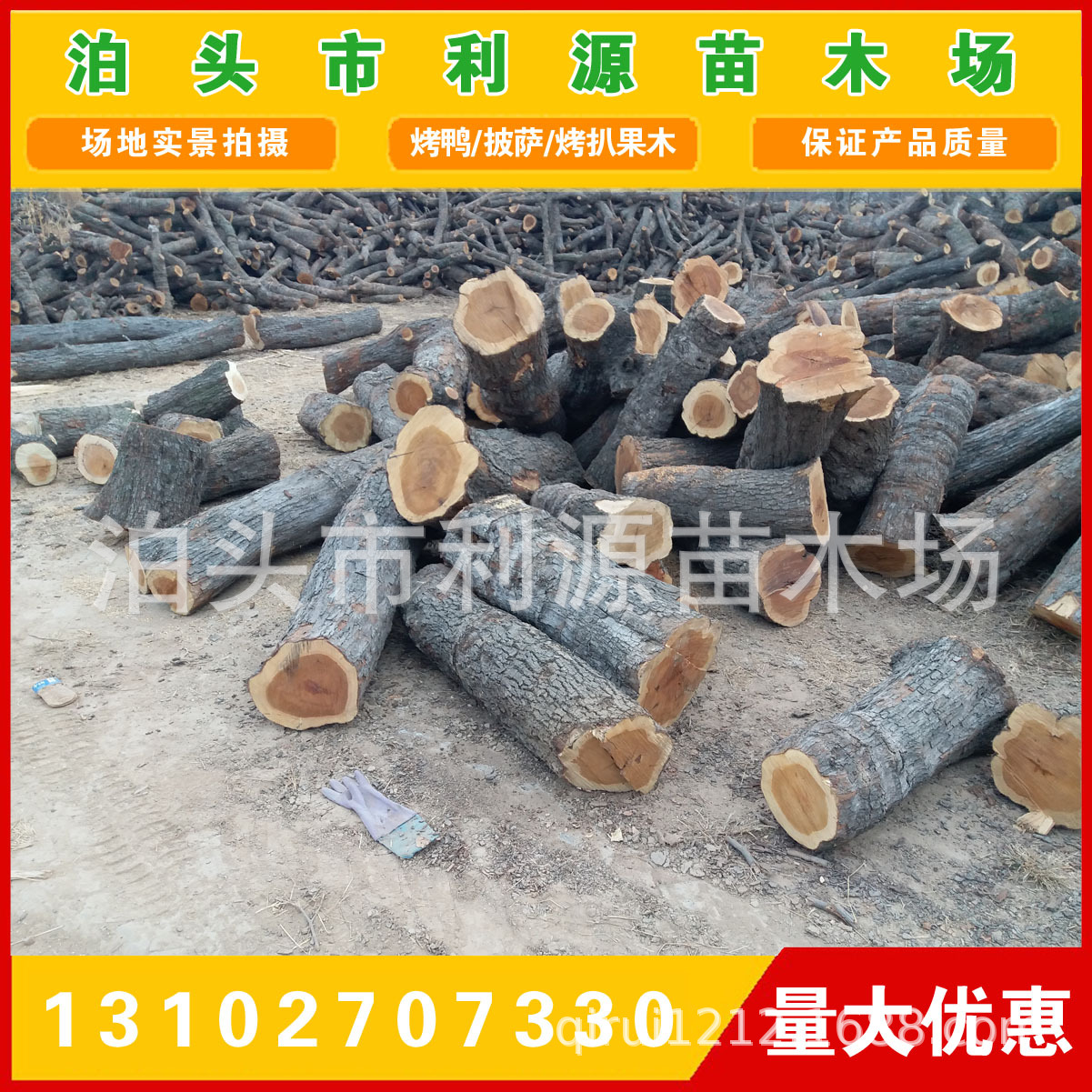 常年大量供应优质枣木原木 出售小头直径25-50公分枣木原木示例图4