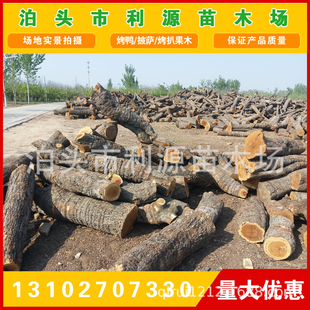 常年大量供应优质枣木原木 出售小头直径25-50公分枣木原木示例图11