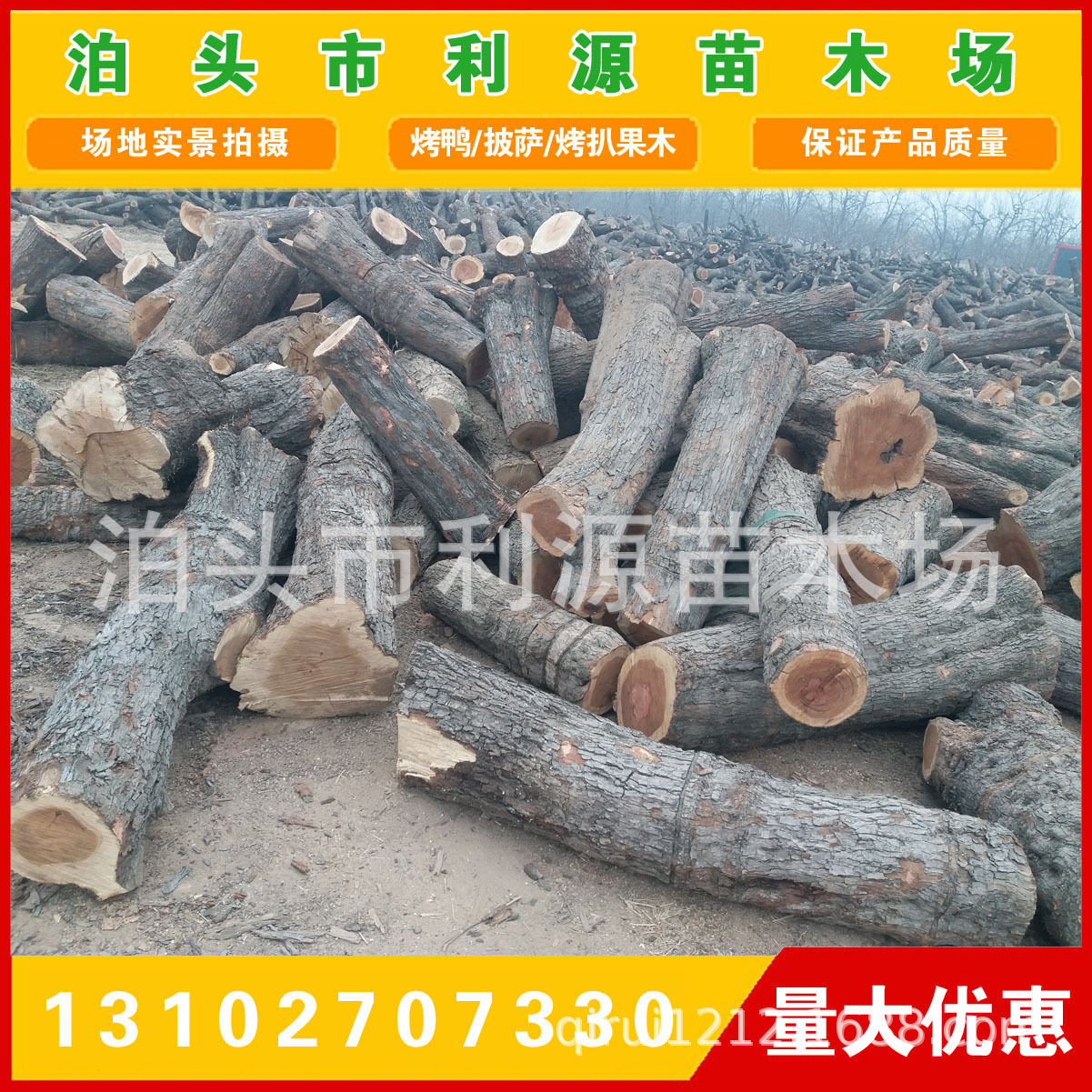 常年大量供应优质枣木原木 出售小头直径25-50公分枣木原木示例图2