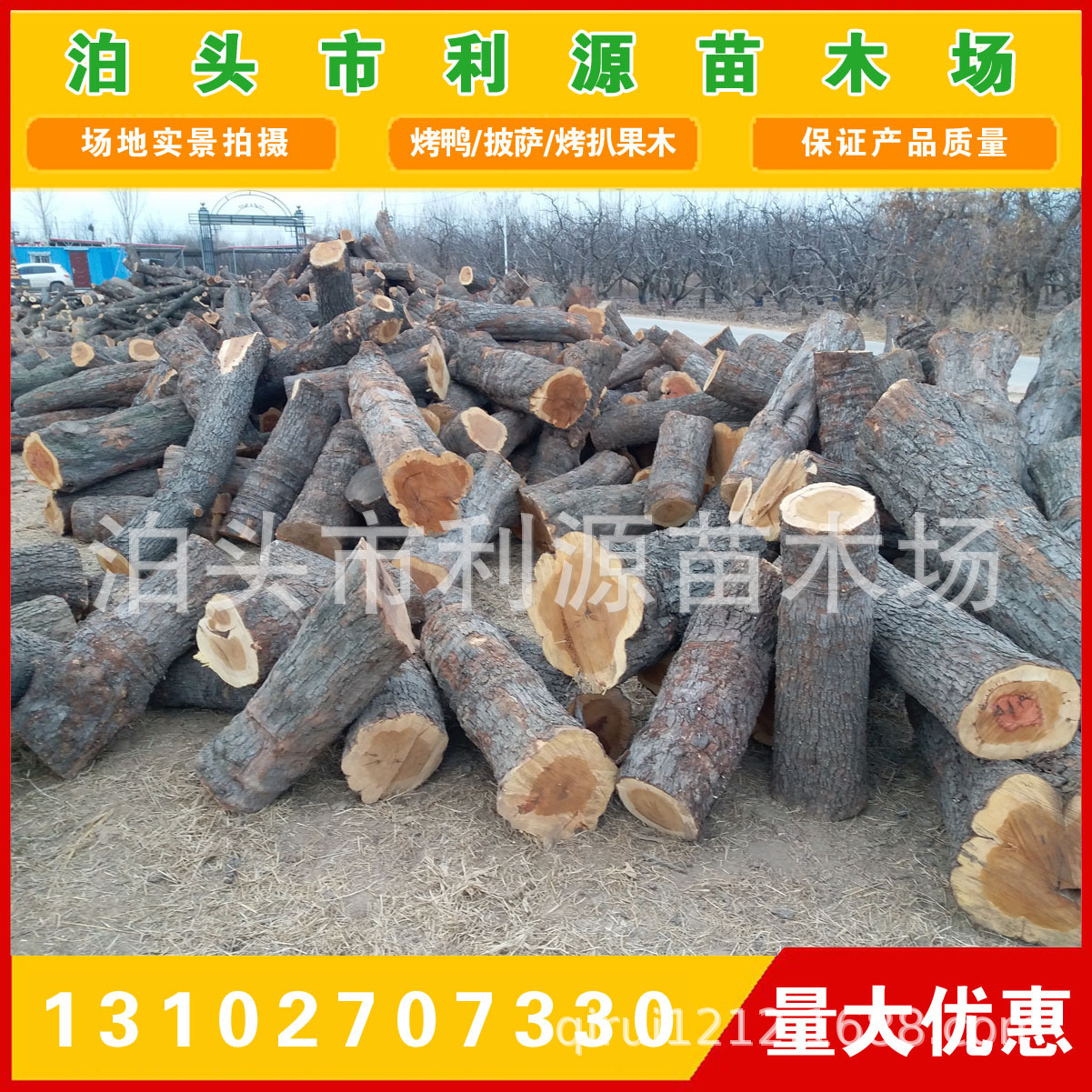 常年大量供应优质枣木原木 出售小头直径25-50公分枣木原木示例图1