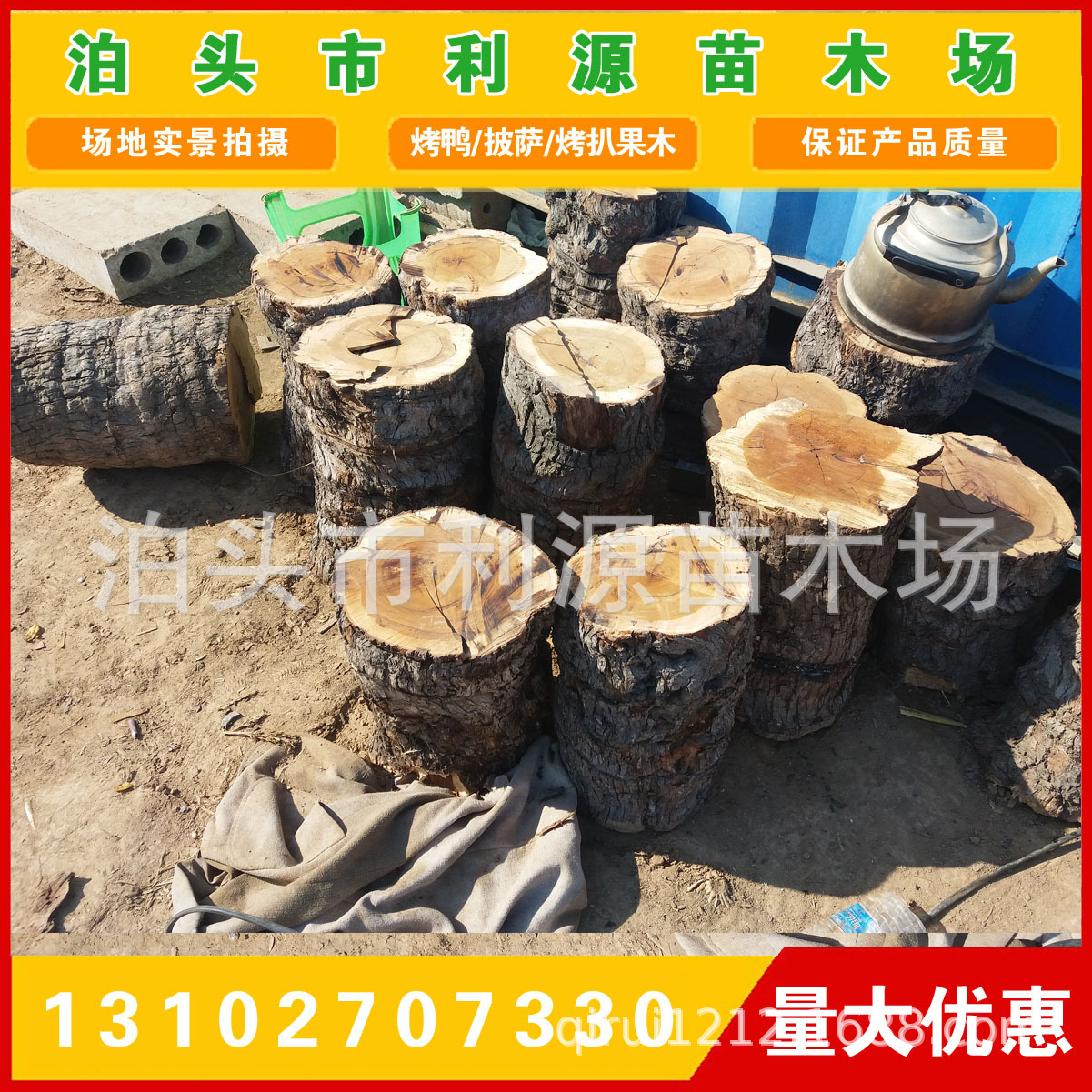 常年大量供应优质枣木原木 出售小头直径25-50公分枣木原木示例图16