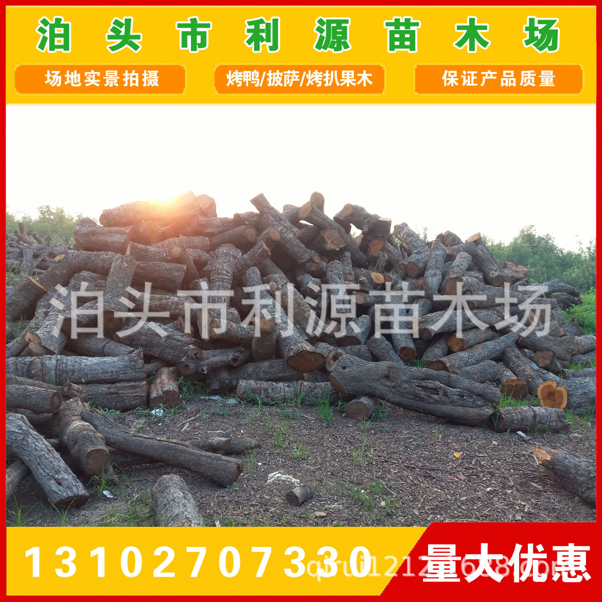 工艺枣木大量出售优质枣木枣树木直径25-50公分工艺枣木示例图11