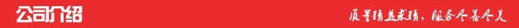 春节新年中秋 灯笼 户外防水绸布日韩式红灯笼圆拉丝灯笼批发示例图4