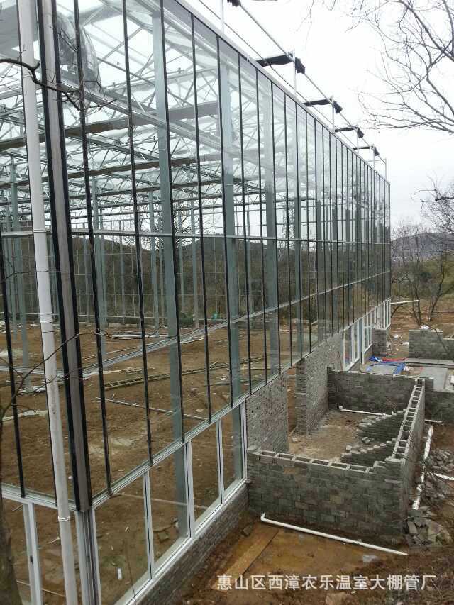 温室大棚 玻璃大棚 智能玻璃温室 智能温室温室大棚 钢化玻璃大棚示例图8